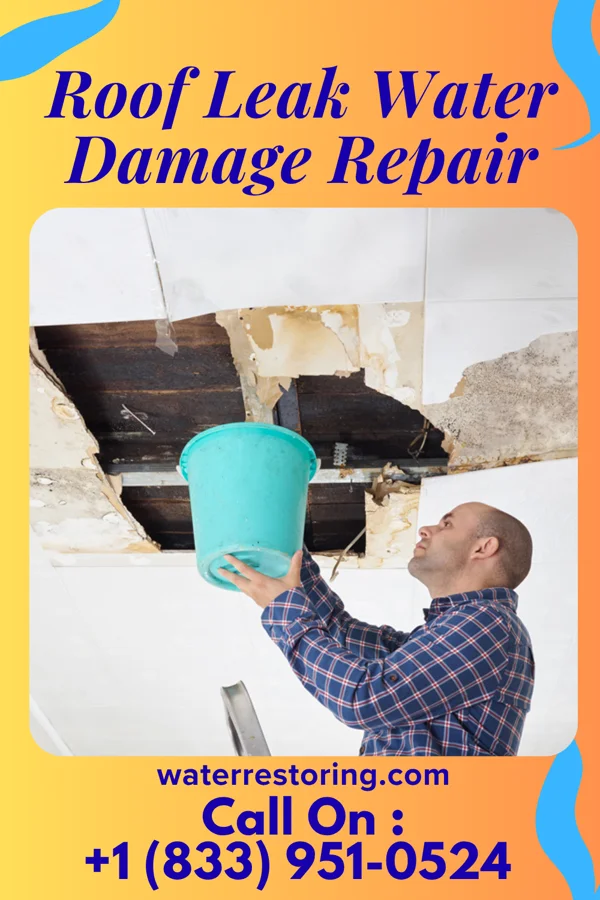 Roof Leak Water Damage Repair in Livingston, TX